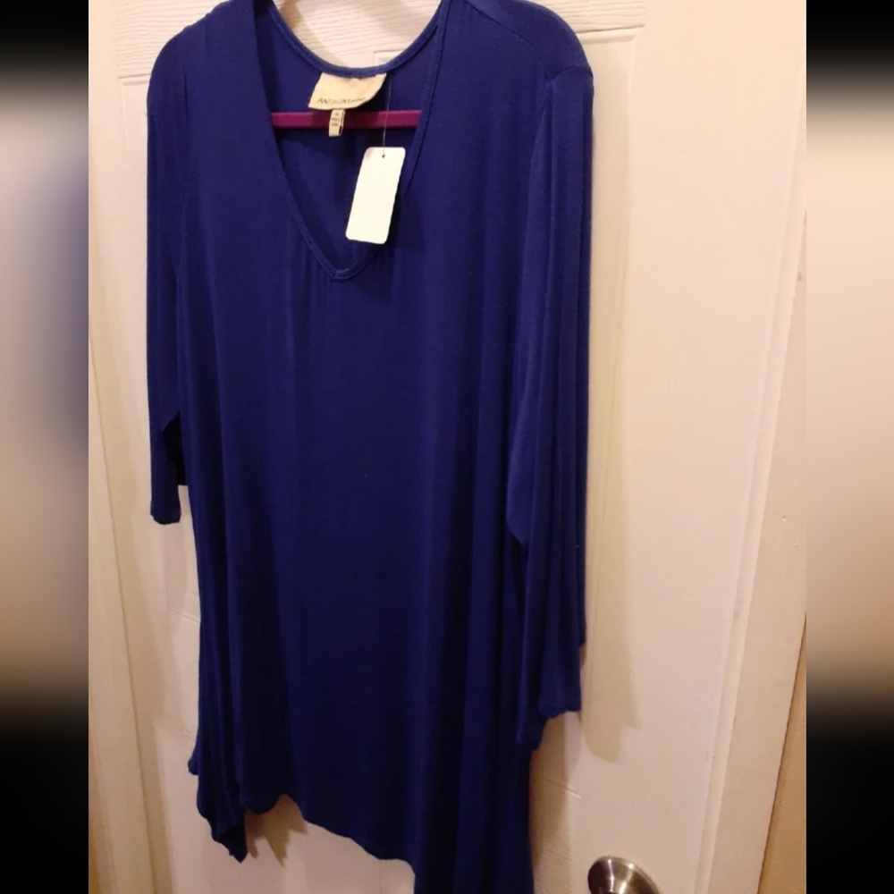 Antthony 1X Blue 3/4 Sleeve Top